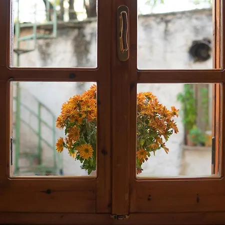 Cozy In Center With Private Parking! *