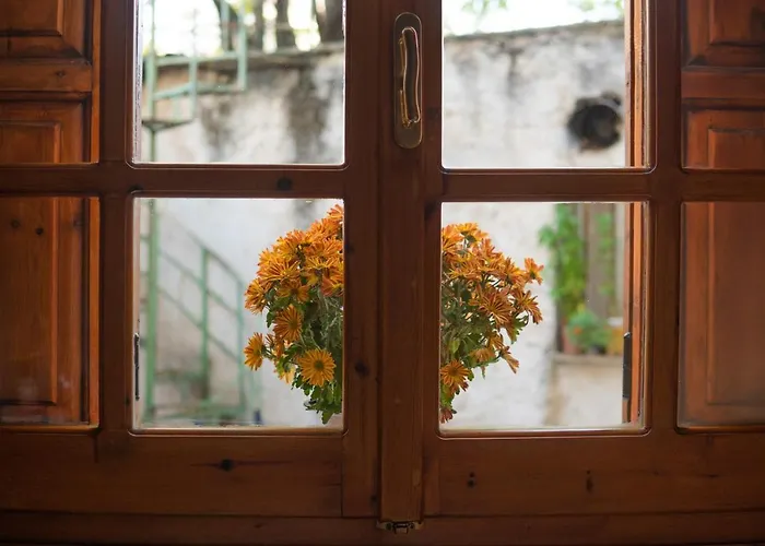 Cozy In Center With Private Parking! *